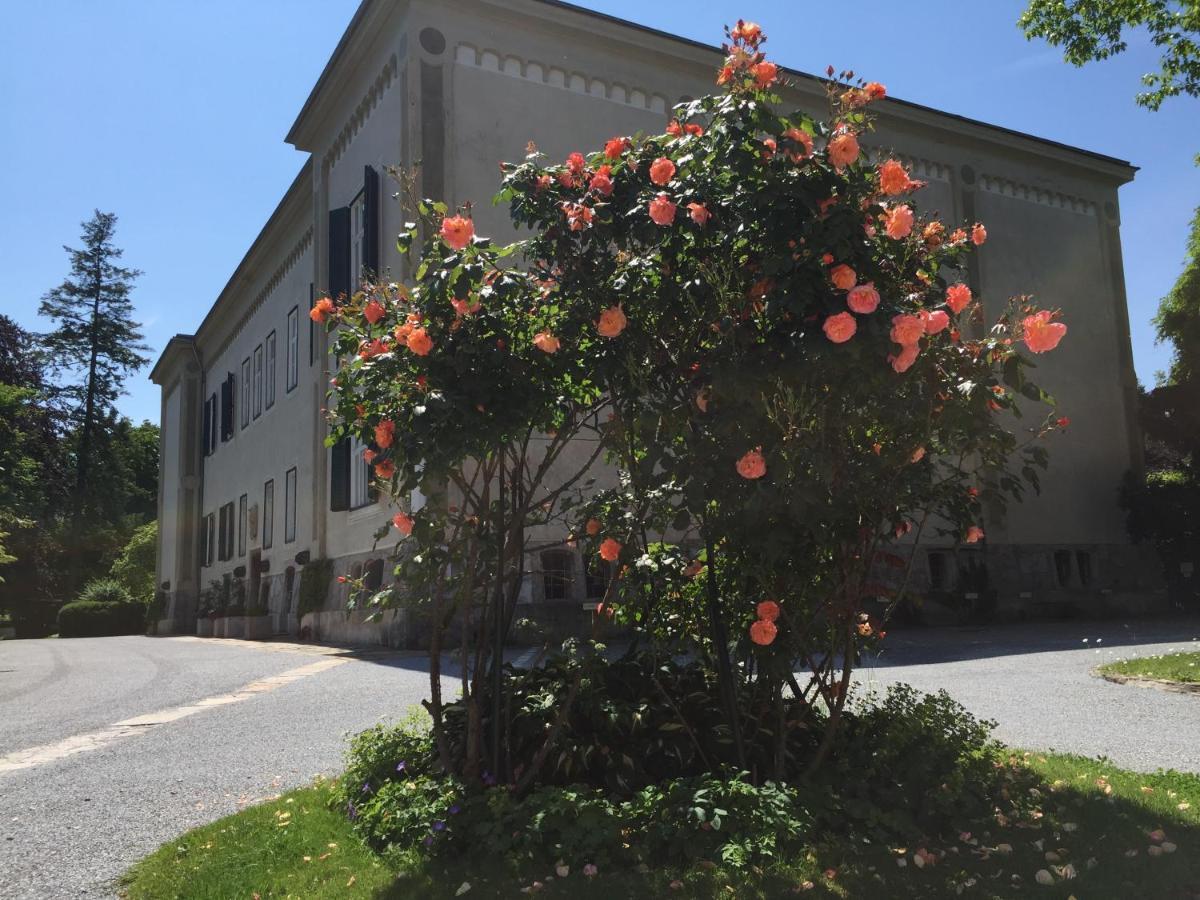 Red Flat By Grazrentals Direct By University & Free Parking Esterno foto